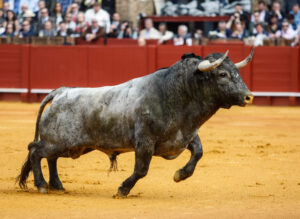 Y si no hay suerte, tampoco los bonitos.