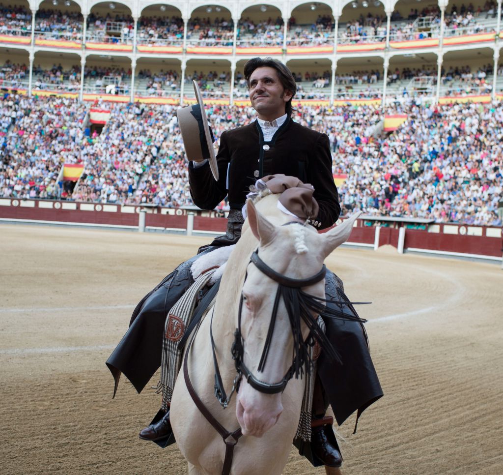 Constelación de estrellas a caballo