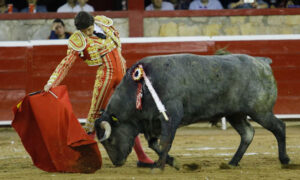 Morelia 14 de abril de 2018