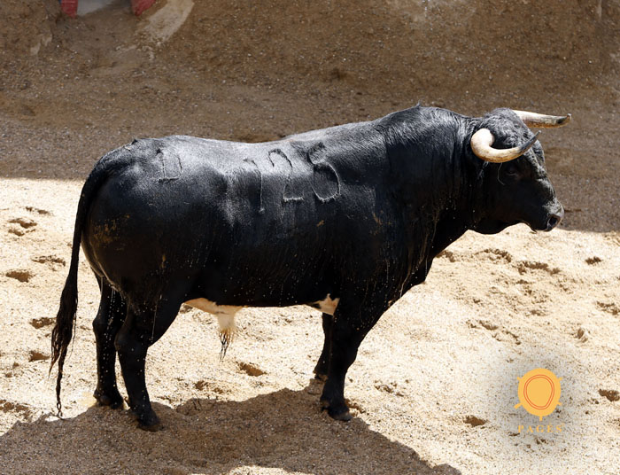 Sorteo, Sevilla 6 de mayo de 2018