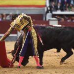 Albacete, 13 de mayo de 2018. Festival del Cotolengo homenaje a Dámaso González