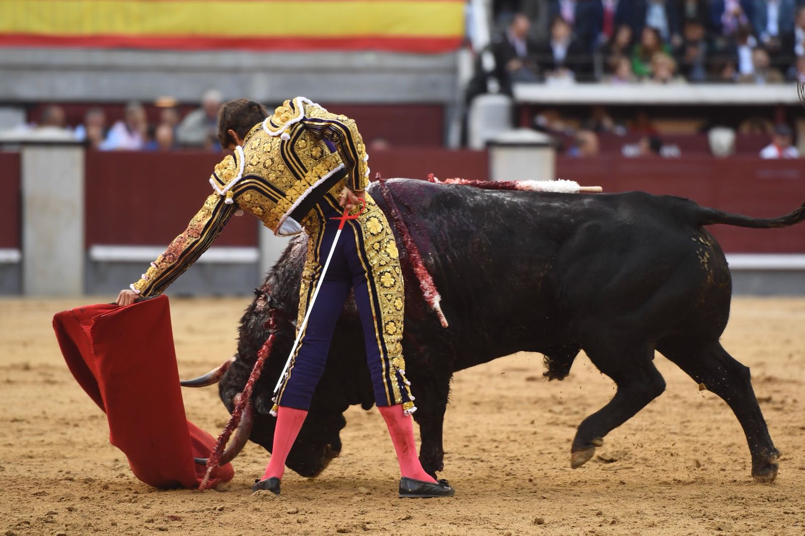 Albacete, 13 de mayo de 2018. Festival del Cotolengo homenaje a Dámaso González
