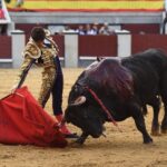 Albacete, 13 de mayo de 2018. Festival del Cotolengo homenaje a Dámaso González