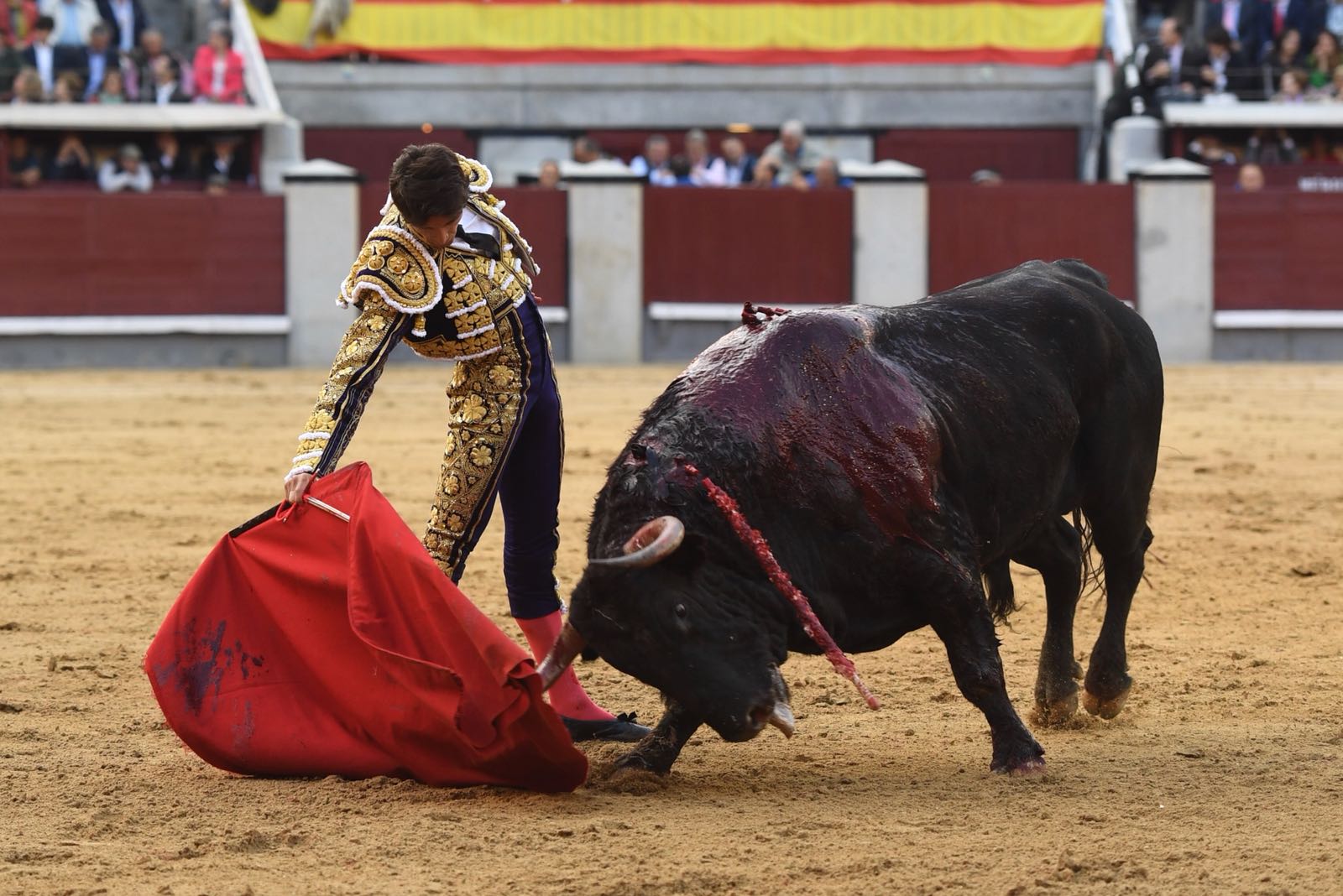 Albacete, 13 de mayo de 2018. Festival del Cotolengo homenaje a Dámaso González