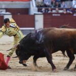 Madrid, San Isidro, 10 de mayo de 2018. Toros de Fuente Ymbro para Joselito Adame, Román y José Garrido