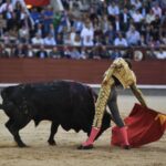 Madrid, San Isidro, 10 de mayo de 2018. Toros de Fuente Ymbro para Joselito Adame, Román y José Garrido