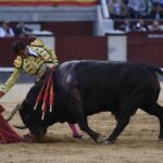 Madrid, San Isidro, 10 de mayo de 2018. Toros de Fuente Ymbro para Joselito Adame, Román y José Garrido