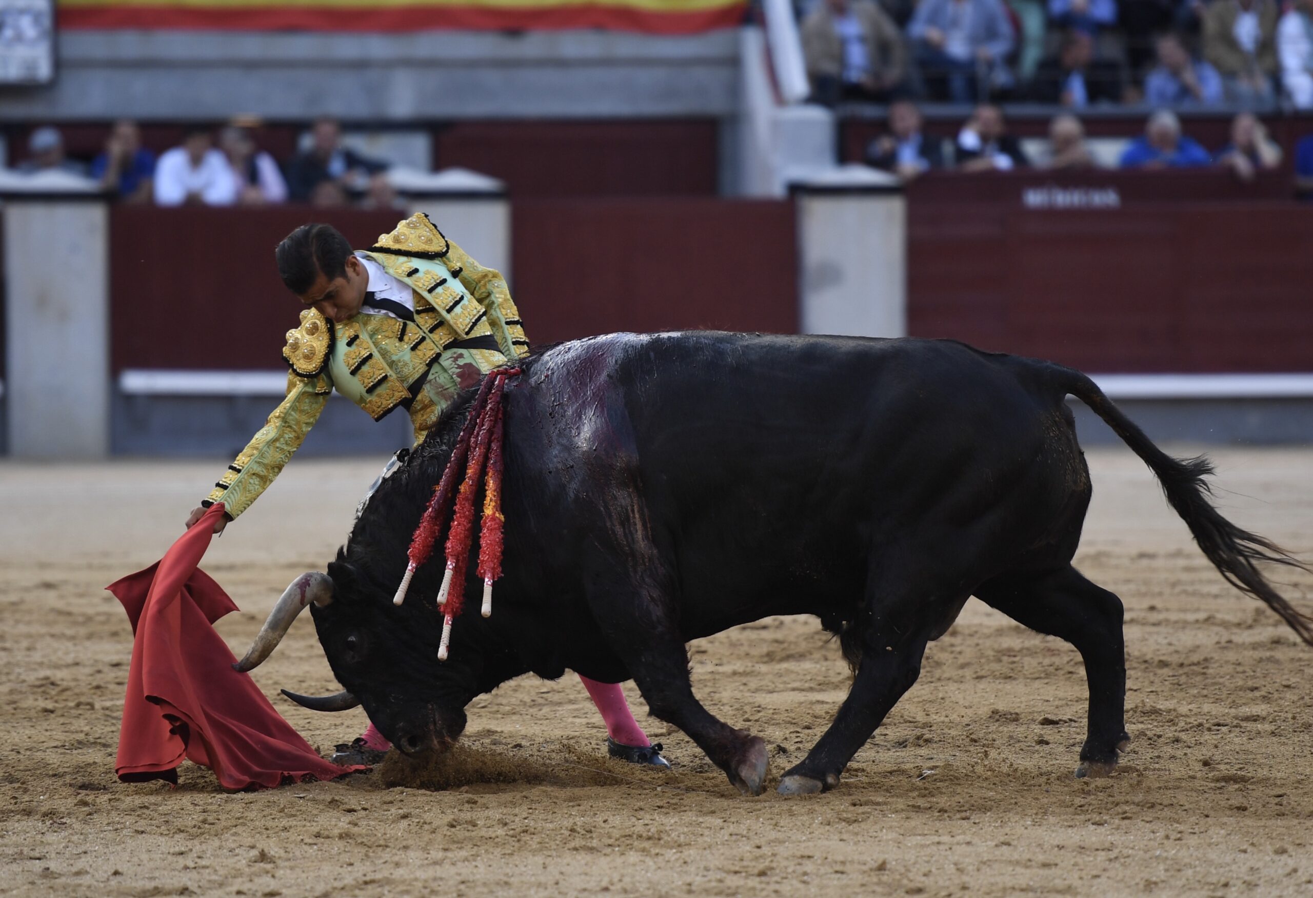 Madrid, San Isidro, 10 de mayo de 2018. Toros de Fuente Ymbro para Joselito Adame, Román y José Garrido