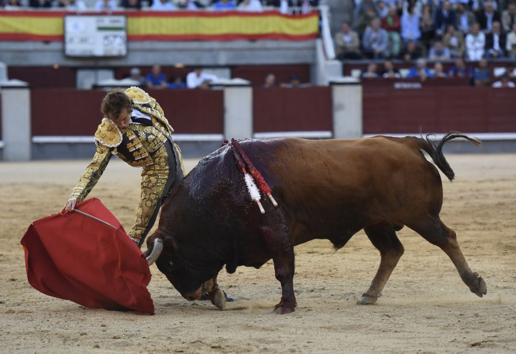 Madrid, San Isidro, 10 de mayo de 2018. Toros de Fuente Ymbro para Joselito Adame, Román y José Garrido