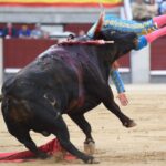 Madrid, 19 de mayo de 2018