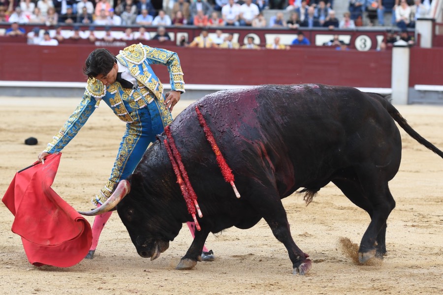 Madrid, 19 de mayo de 2018