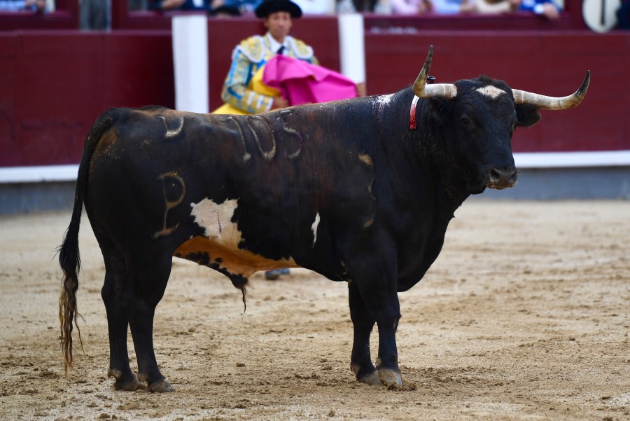 Madrid, 19 de mayo de 2018