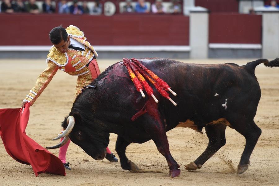 Madrid, 19 de mayo de 2018