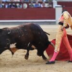 Madrid, 19 de mayo de 2018