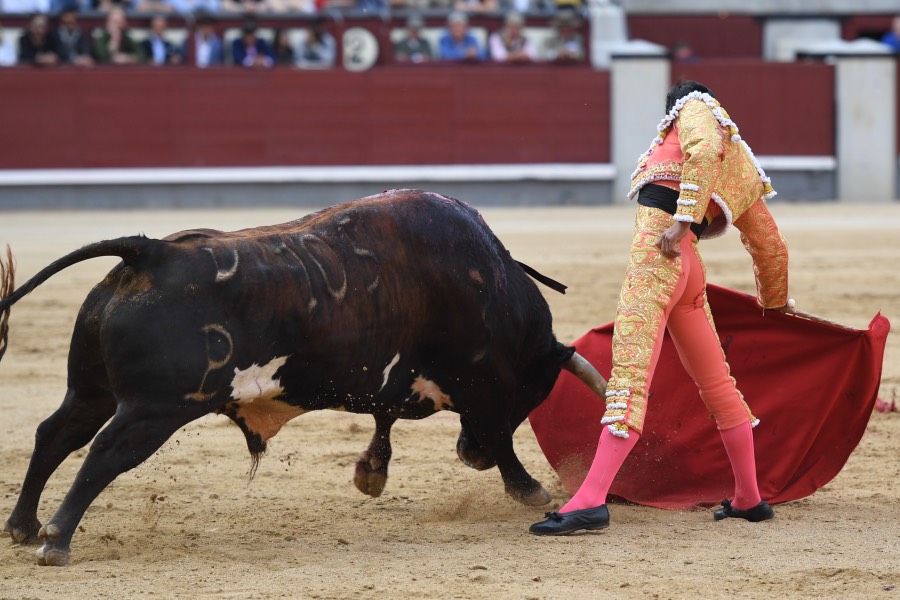 Madrid, 19 de mayo de 2018