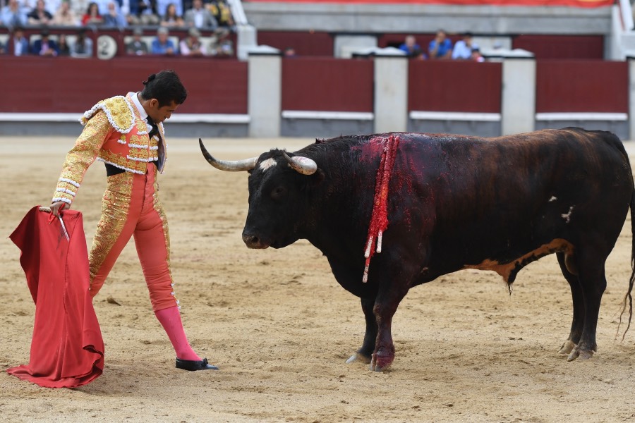 Madrid, 19 de mayo de 2018