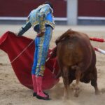 Madrid, 19 de mayo de 2018