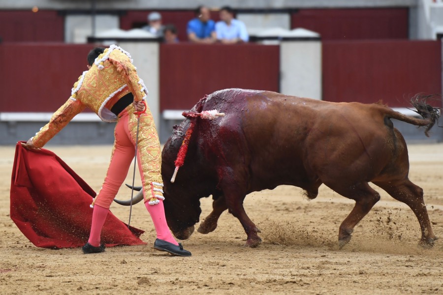 Madrid, 19 de mayo de 2018