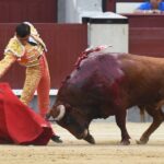 Madrid, 19 de mayo de 2018