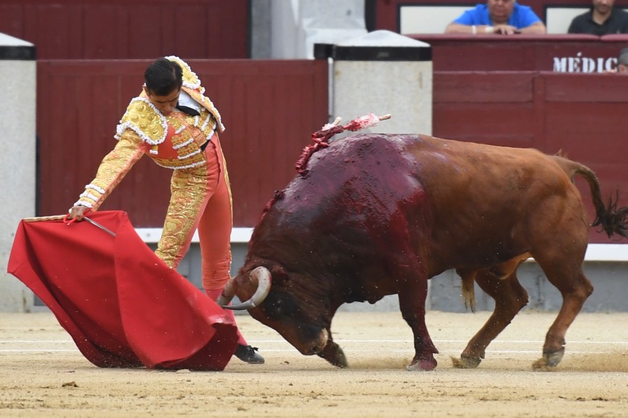 Madrid, 19 de mayo de 2018