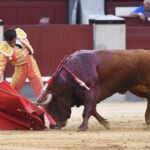 Madrid, 19 de mayo de 2018