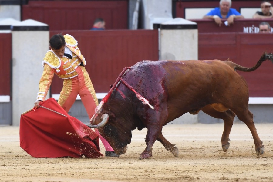 Madrid, 19 de mayo de 2018