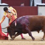 Madrid, 19 de mayo de 2018