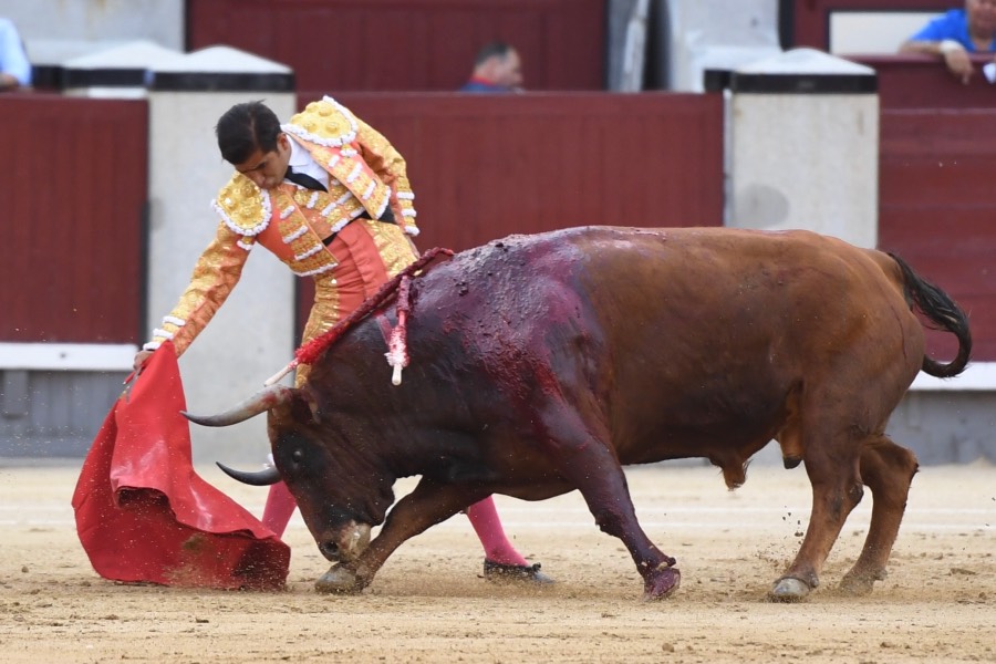 Madrid, 19 de mayo de 2018