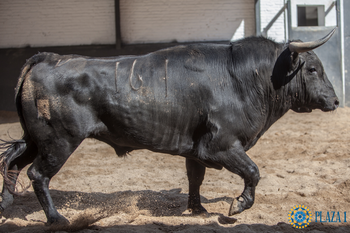 Sorteo, Madrid 6 de mayo de 2018