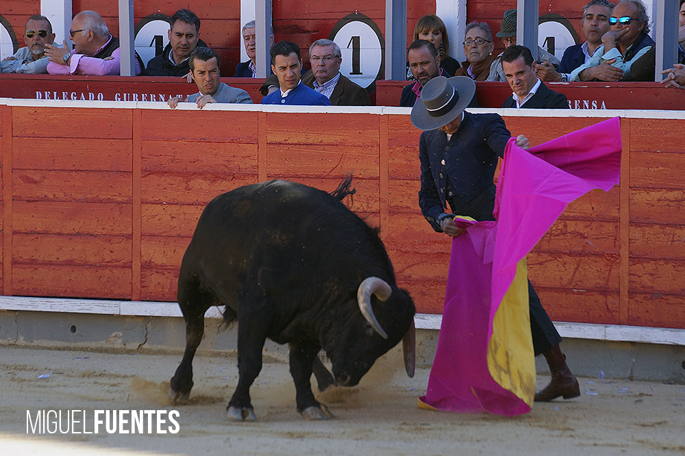 Albacete, 13 de mayo de 2018. Festival del Cotolengo homenaje a Dámaso González