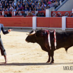 Albacete, 13 de mayo de 2018. Festival del Cotolengo homenaje a Dámaso González