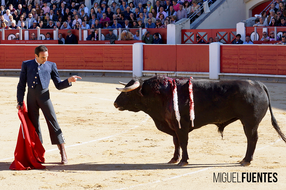 Albacete, 13 de mayo de 2018. Festival del Cotolengo homenaje a Dámaso González
