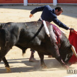 Albacete, 13 de mayo de 2018. Festival del Cotolengo homenaje a Dámaso González