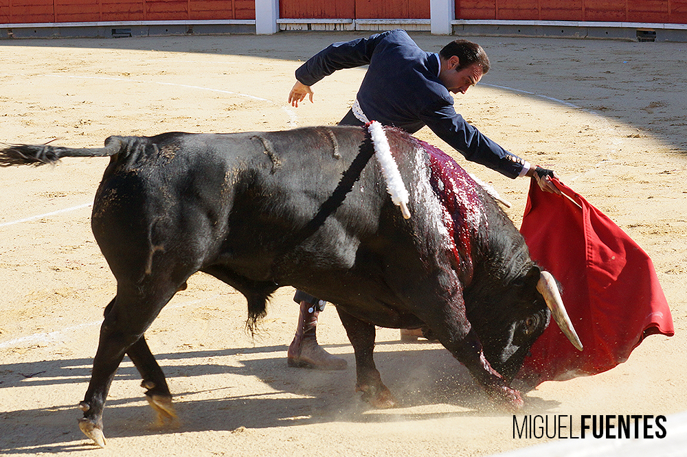 Albacete, 13 de mayo de 2018. Festival del Cotolengo homenaje a Dámaso González