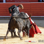 Albacete, 13 de mayo de 2018. Festival del Cotolengo homenaje a Dámaso González