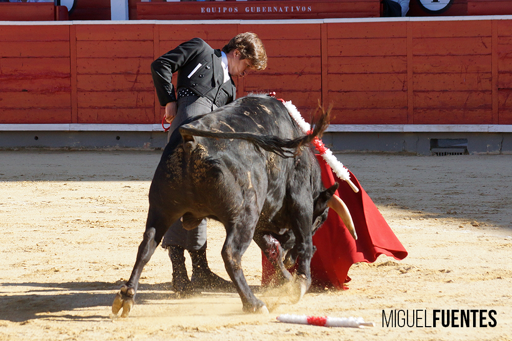 Albacete, 13 de mayo de 2018. Festival del Cotolengo homenaje a Dámaso González