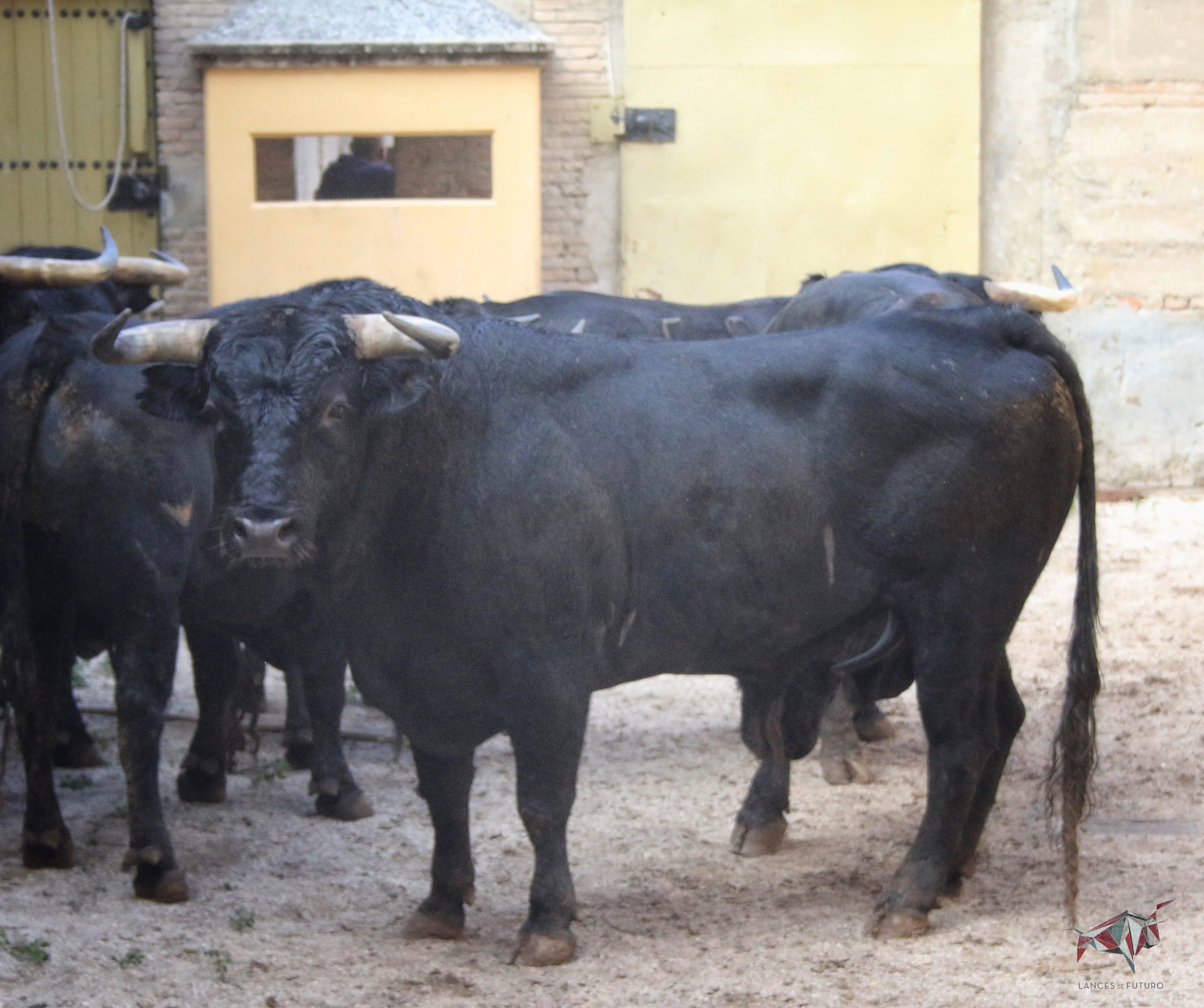 Madrid, San Isidro, 10 de mayo de 2018. Corrida de Fuente Ymbro
