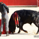 Albacete, 13 de mayo de 2018. Festival del Cotolengo homenaje a Dámaso González