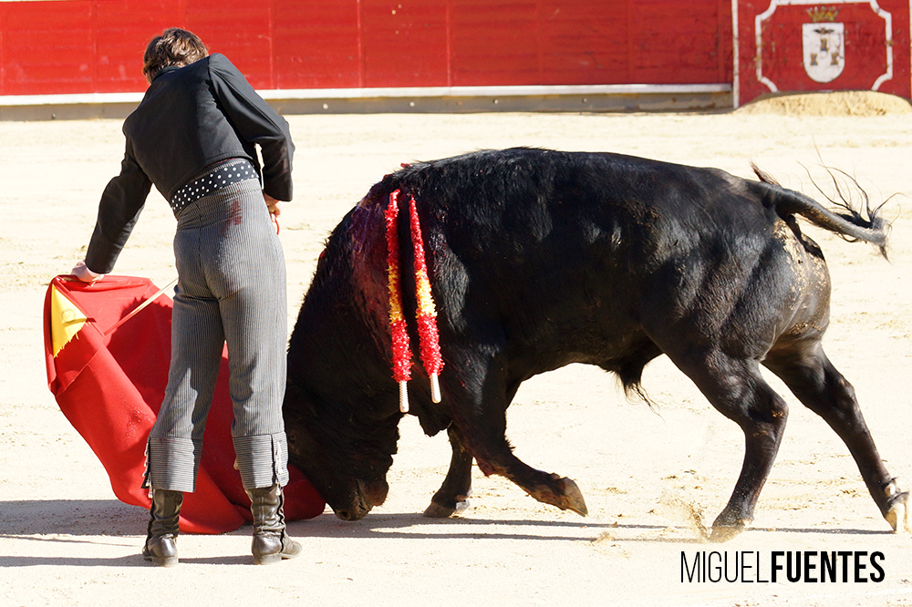 Albacete, 13 de mayo de 2018. Festival del Cotolengo homenaje a Dámaso González
