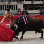 Saint Martin de Crau (Francia), martes 1 de mayo de 2018