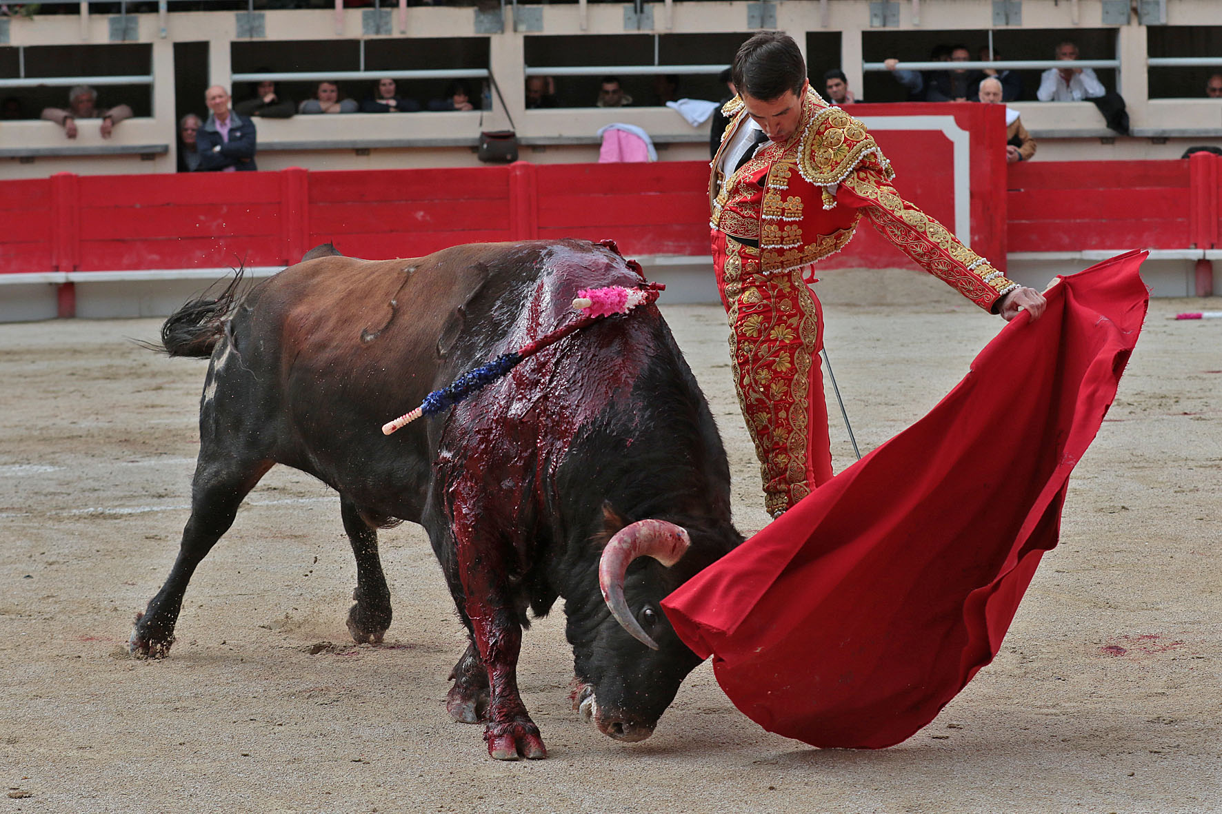 Saint Martin de Crau (Francia), martes 1 de mayo de 2018