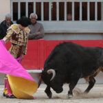 Saint Martin de Crau (Francia), martes 1 de mayo de 2018