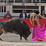 Saint Martin de Crau (Francia), martes 1 de mayo de 2018