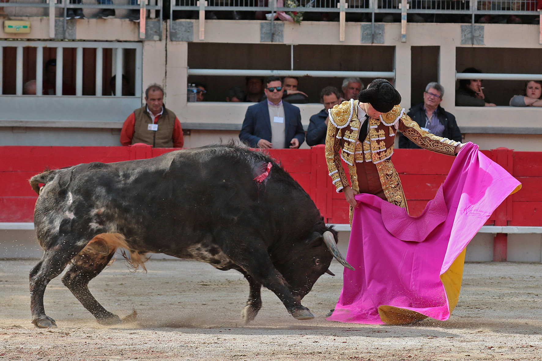 Saint Martin de Crau (Francia), martes 1 de mayo de 2018