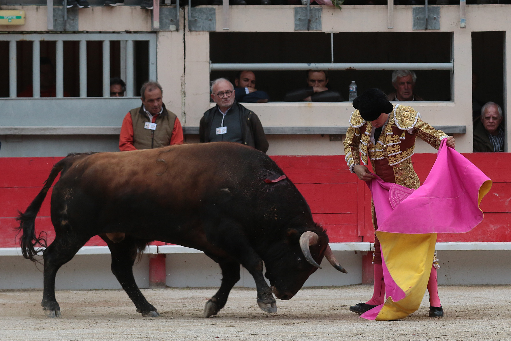 Saint Martin de Crau (Francia), martes 1 de mayo de 2018
