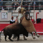 Saint Martin de Crau (Francia), martes 1 de mayo de 2018