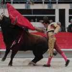 Saint Martin de Crau (Francia), martes 1 de mayo de 2018
