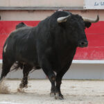 Saint Martin de Crau (Francia), martes 1 de mayo de 2018