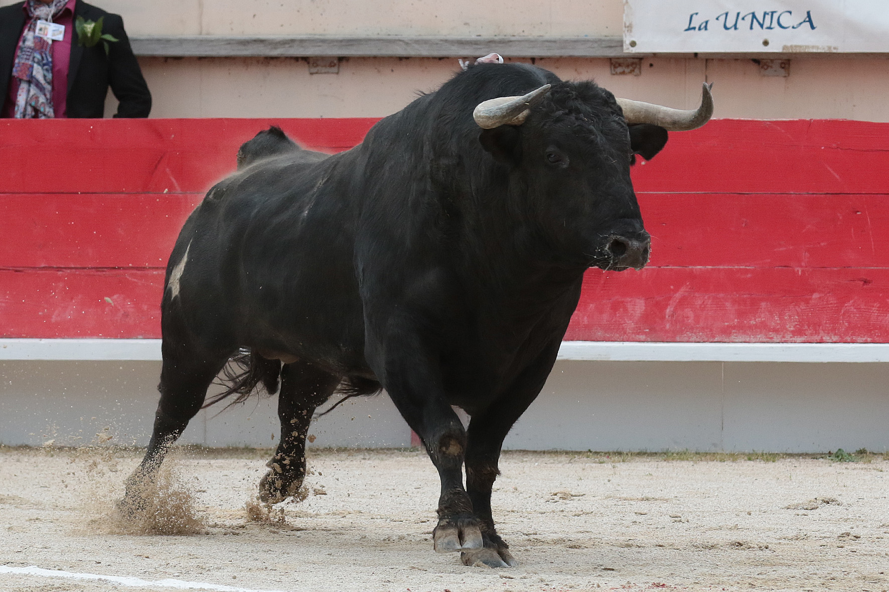 Saint Martin de Crau (Francia), martes 1 de mayo de 2018