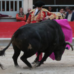 Saint Martin de Crau (Francia), martes 1 de mayo de 2018